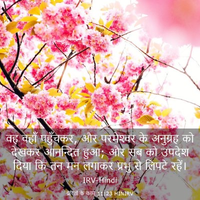 Picture 03 - प्रेरितों के काम 11:23 HINIRV - वह वहाँ पहुँचकर, और - Bible Verse Picture