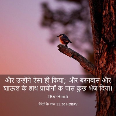 Picture 03 - प्रेरितों के काम 11:30 HINIRV - और उन्होंने ऐसा ही - Bible Verse Picture