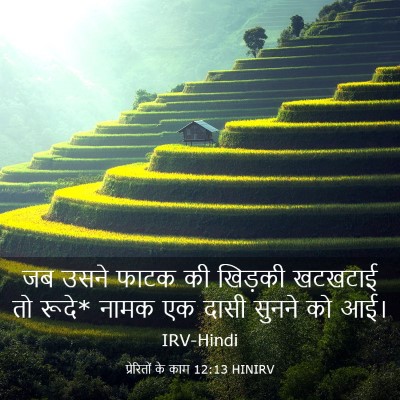 Picture 03 - प्रेरितों के काम 12:13 HINIRV - जब उसने फाटक की - Bible Verse Picture