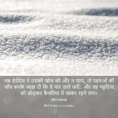 Picture 03 - प्रेरितों के काम 12:19 HINIRV - जब हेरोदेस ने उसकी - Bible Verse Picture