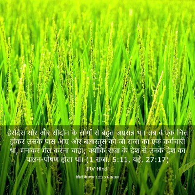 Picture 03 - प्रेरितों के काम 12:20 HINIRV - हेरोदेस सोर और - Bible Verse Picture