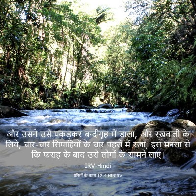 Picture 03 - प्रेरितों के काम 12:4 HINIRV - और उसने उसे पकड़कर - Bible Verse Picture