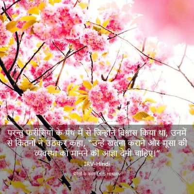 Picture 03 - प्रेरितों के काम 15:5 HINIRV - परन्तु फरीसियों - Bible Verse Picture