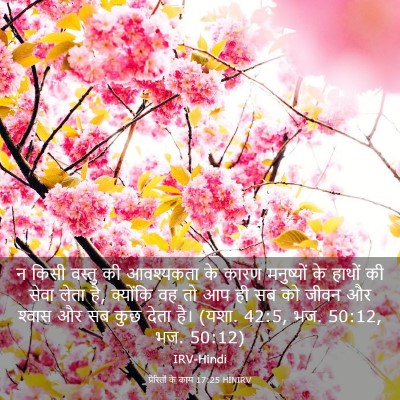 Picture 03 - प्रेरितों के काम 17:25 HINIRV - न किसी वस्तु की - Bible Verse Picture