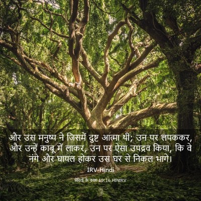 Picture 03 - प्रेरितों के काम 19:16 HINIRV - और उस मनुष्य ने - Bible Verse Picture
