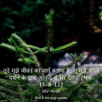 Picture 03 - प्रेरितों के काम 2:28 HINIRV - तूने मुझे जीवन का - Bible Verse Picture