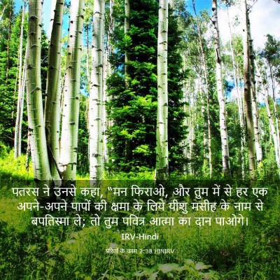 Picture 03 - प्रेरितों के काम 2:38 HINIRV - पतरस ने उनसे कहा, - Bible Verse Picture