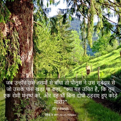 Picture 03 - प्रेरितों के काम 22:25 HINIRV - जब उन्होंने उसे - Bible Verse Picture