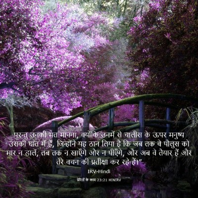 Picture 03 - प्रेरितों के काम 23:21 HINIRV - परन्तु उनकी मत - Bible Verse Picture