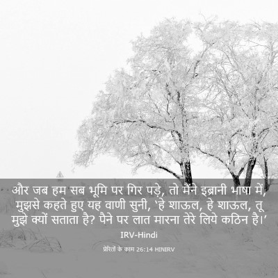 Picture 03 - प्रेरितों के काम 26:14 HINIRV - और जब हम सब भूमि पर - Bible Verse Picture