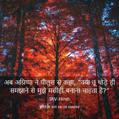Picture 03 - प्रेरितों के काम 26:28 HINIRV - अब अग्रिप्पा ने - Bible Verse Picture
