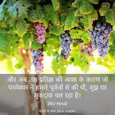 Picture 03 - प्रेरितों के काम 26:6 HINIRV - और अब उस प्रतिज्ञा - Bible Verse Picture