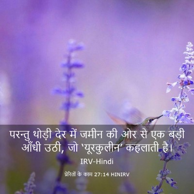 Picture 03 - प्रेरितों के काम 27:14 HINIRV - परन्तु थोड़ी देर - Bible Verse Picture