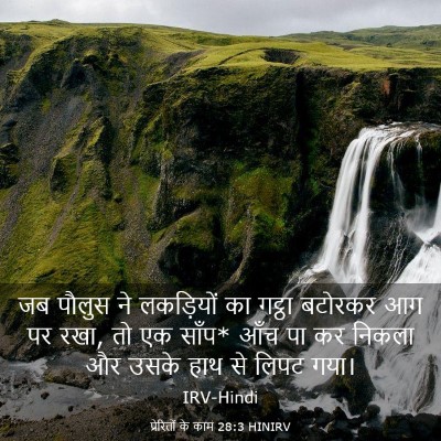 Picture 03 - प्रेरितों के काम 28:3 HINIRV - जब पौलुस ने - Bible Verse Picture