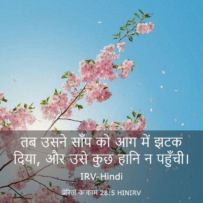 Picture 03 - प्रेरितों के काम 28:5 HINIRV - तब उसने साँप को आग - Bible Verse Picture
