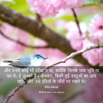 Picture 03 - प्रेरितों के काम 4:34 HINIRV - और उनमें कोई भी - Bible Verse Picture