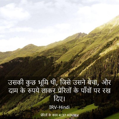 Picture 03 - प्रेरितों के काम 4:37 HINIRV - उसकी कुछ भूमि थी, - Bible Verse Picture