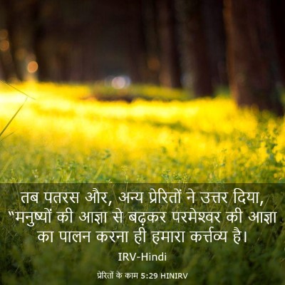 Picture 03 - प्रेरितों के काम 5:29 HINIRV - तब पतरस और, अन्य - Bible Verse Picture