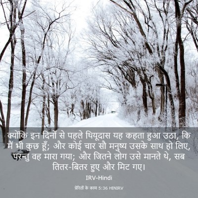 Picture 03 - प्रेरितों के काम 5:36 HINIRV - क्योंकि इन दिनों - Bible Verse Picture