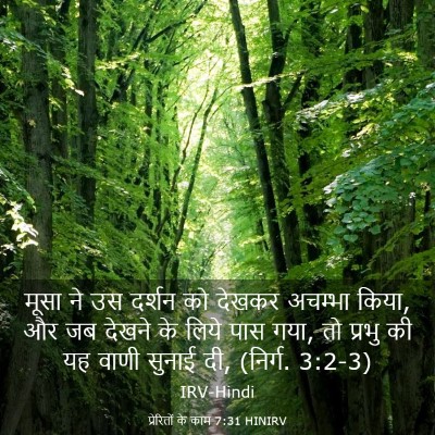 Picture 03 - प्रेरितों के काम 7:31 HINIRV - मूसा ने उस दर्शन को - Bible Verse Picture
