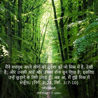 Picture 03 - प्रेरितों के काम 7:34 HINIRV - मैंने सचमुच अपने - Bible Verse Picture