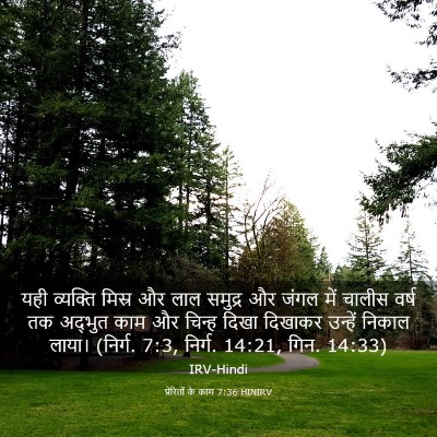 Picture 03 - प्रेरितों के काम 7:36 HINIRV - यही व्यक्ति मिस्र - Bible Verse Picture
