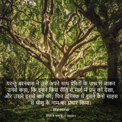 Picture 03 - प्रेरितों के काम 9:27 HINIRV - परन्तु बरनबास ने - Bible Verse Picture