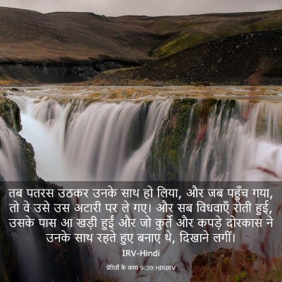 Picture 03 - प्रेरितों के काम 9:39 HINIRV - तब पतरस उठकर उनके - Bible Verse Picture