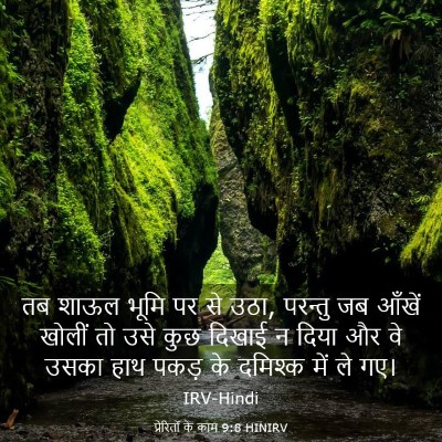 Picture 03 - प्रेरितों के काम 9:8 HINIRV - तब शाऊल भूमि पर से - Bible Verse Picture