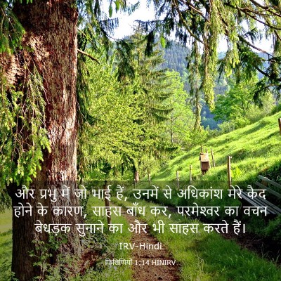 Picture 03 - फिलिप्पियों 1:14 HINIRV - और प्रभु में जो भाई - Bible Verse Picture