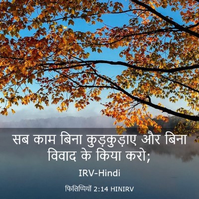Picture 03 - फिलिप्पियों 2:14 HINIRV - सब काम बिना - Bible Verse Picture