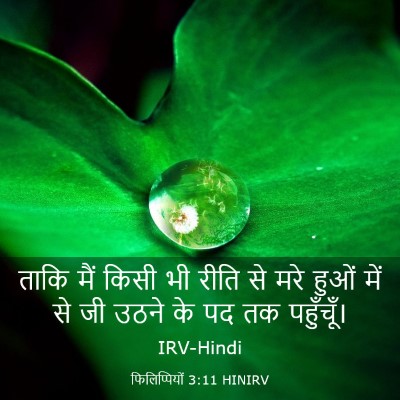 Picture 03 - फिलिप्पियों 3:11 HINIRV - ताकि मैं किसी भी - Bible Verse Picture