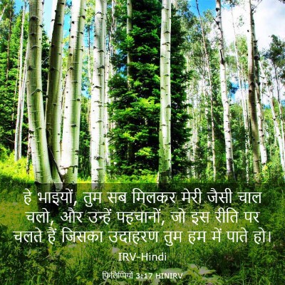 Picture 03 - फिलिप्पियों 3:17 HINIRV - हे भाइयों, तुम सब - Bible Verse Picture