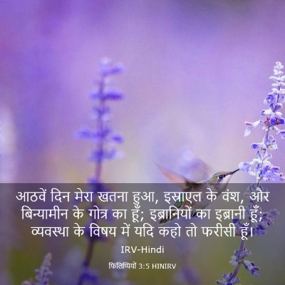 Picture 03 - फिलिप्पियों 3:5 HINIRV - आठवें दिन मेरा - Bible Verse Picture