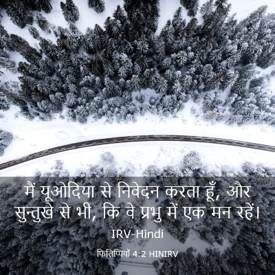 Picture 03 - फिलिप्पियों 4:2 HINIRV - मैं यूओदिया से - Bible Verse Picture