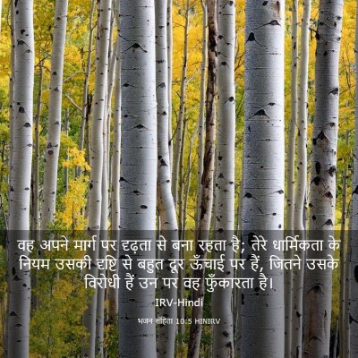 Picture 03 - भजन संहिता 10:5 HINIRV - वह अपने मार्ग पर - Bible Verse Picture