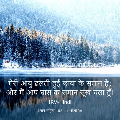 Picture 03 - भजन संहिता 102:11 HINIRV - मेरी आयु ढलती हुई - Bible Verse Picture