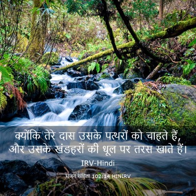 Picture 03 - भजन संहिता 102:14 HINIRV - क्योंकि तेरे दास - Bible Verse Picture