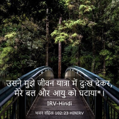 Picture 03 - भजन संहिता 102:23 HINIRV - उसने मुझे जीवन - Bible Verse Picture