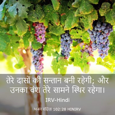 Picture 03 - भजन संहिता 102:28 HINIRV - तेरे दासों की - Bible Verse Picture