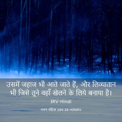 Picture 03 - भजन संहिता 104:26 HINIRV - उसमें जहाज भी आते - Bible Verse Picture
