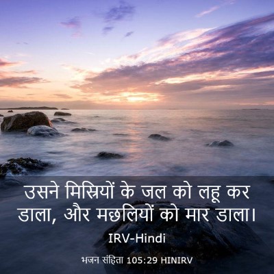Picture 03 - भजन संहिता 105:29 HINIRV - उसने मिस्रियों के - Bible Verse Picture