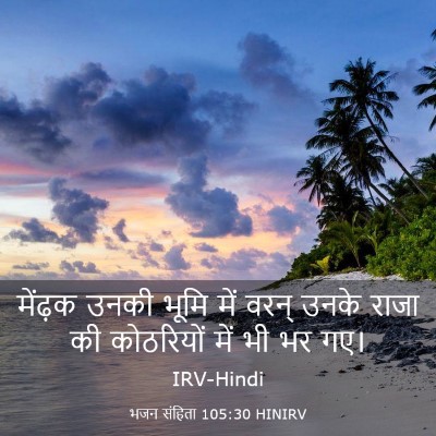 Picture 03 - भजन संहिता 105:30 HINIRV - मेंढ़क उनकी भूमि - Bible Verse Picture