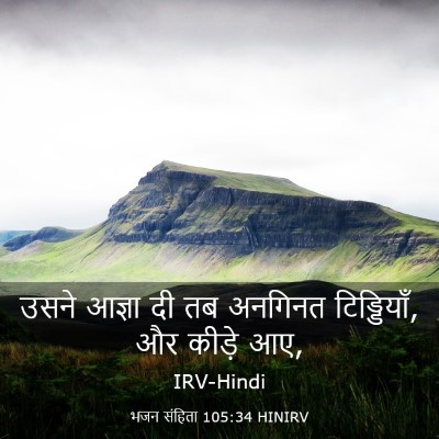 Picture 03 - भजन संहिता 105:34 HINIRV - उसने आज्ञा दी तब - Bible Verse Picture