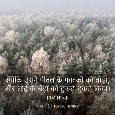 Picture 03 - भजन संहिता 107:16 HINIRV - क्योंकि उसने पीतल - Bible Verse Picture