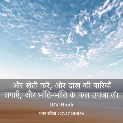 Picture 03 - भजन संहिता 107:37 HINIRV - और खेती करें, और - Bible Verse Picture