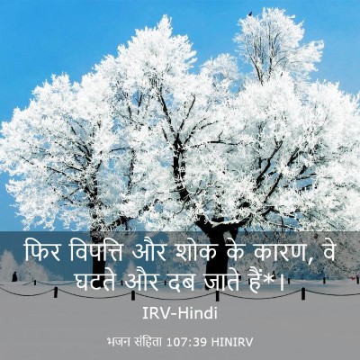 Picture 03 - भजन संहिता 107:39 HINIRV - फिर विपत्ति और शोक - Bible Verse Picture