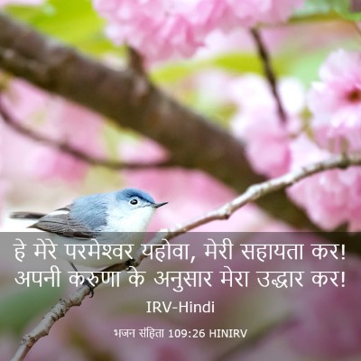 Picture 03 - भजन संहिता 109:26 HINIRV - हे मेरे परमेश्‍वर - Bible Verse Picture