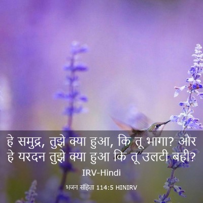 Picture 03 - भजन संहिता 114:5 HINIRV - हे समुद्र, तुझे - Bible Verse Picture