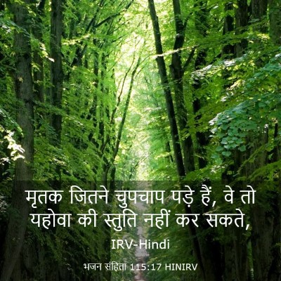 Picture 03 - भजन संहिता 115:17 HINIRV - मृतक जितने चुपचाप - Bible Verse Picture